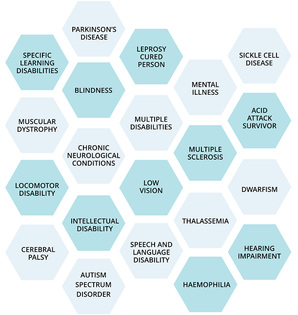 A hexagon grid displaying various disability categories such as blindness, low vision, autism, cerebral palsy, mental illness, and more.
